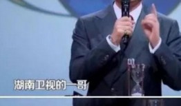 湖南卫视一哥爆料新闻,揭秘娱乐圈幕后真相