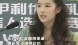 爆料大王媳妇视频大全,视频大全背后的故事与真相